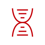 Icon of a red DNA strand